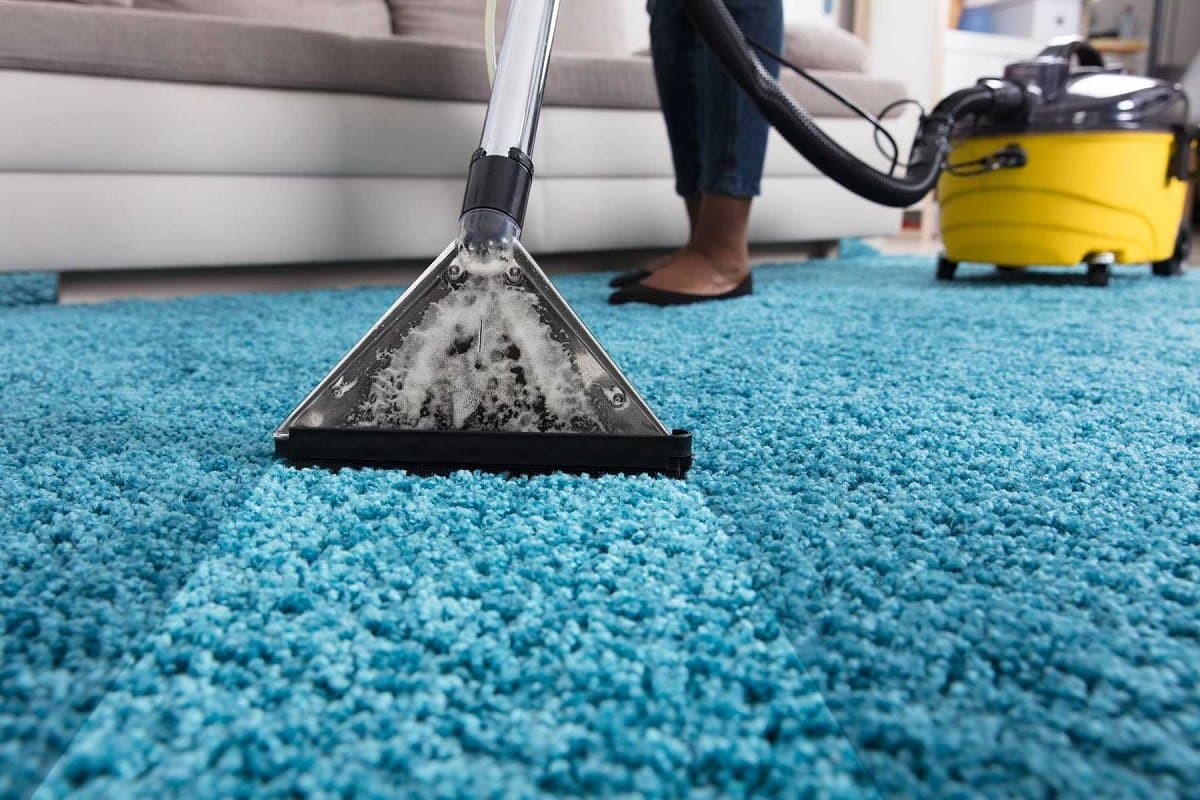 Photo shared by Howely: Introduction
Carpets kind of do a lot for spaces, like they make homes, and also offices feel more