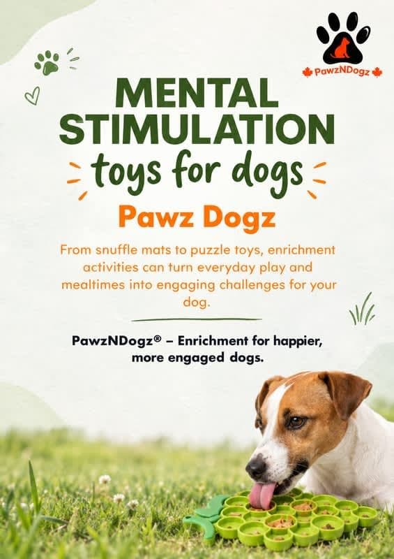 Photo shared by PawzNDogz: Add more excitement to your dog's daily routine with mental stimulation toys for dogs. From snuffle 