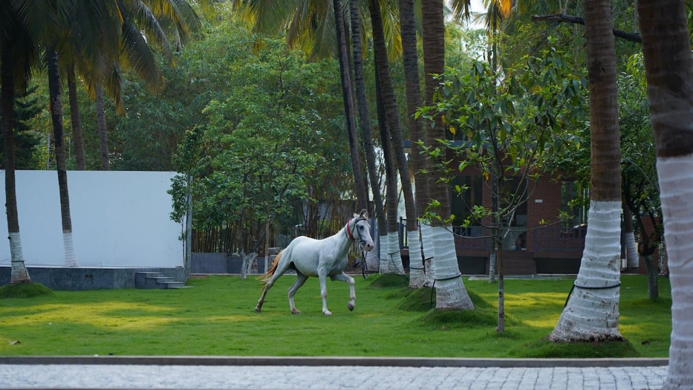 Photo shared by winnershillresort: Celebrate Love at a Stunning Wedding Destination in Coimbatore
Nestled amidst scenic hills and lush