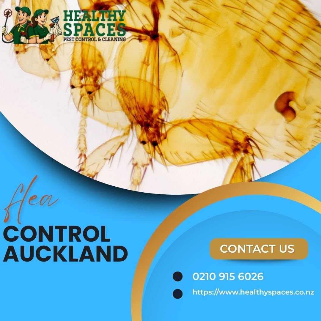 Photo shared by healthyspaces: Flea Control Auckland: How Healthy Spaces Keeps Homes and Businesses Flea-Free
Fleas rarely announc