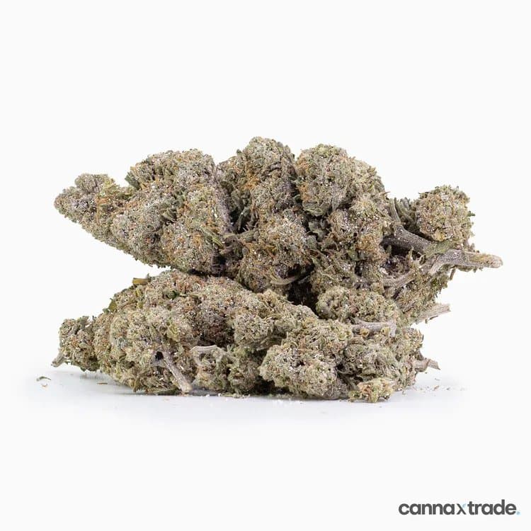 Photo shared by Cannarelief Hub: Marijuana Dispensary Near Me
Finding a trusted cannabis retailer takes careful research and infor