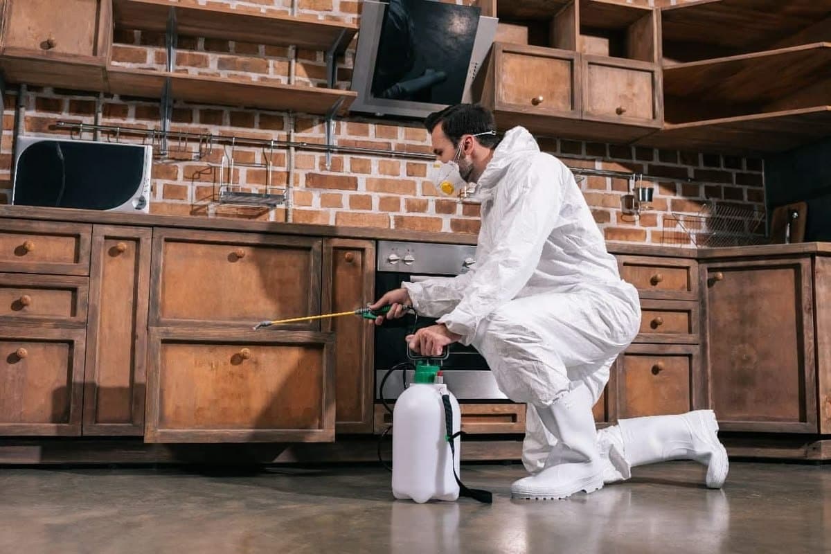 Photo shared by Shazil: Protect your home or workplace from termites and unwanted pests with professional pest control in La