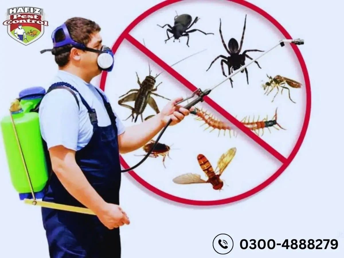 Photo shared by Shazil: Looking for reliable pest control in Lahore? Hafiz Pest Control helps address common pest problems,