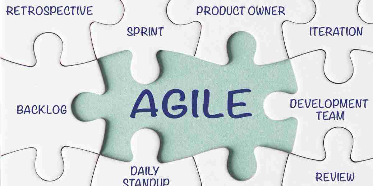 Transform Your Team with Agile Coaching Services from Conceptia