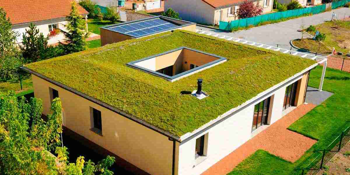 Green Roof Installation Companies: Pioneering Urban Sustainability
