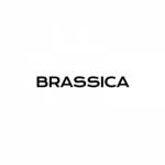 Brassi ca Profile Picture