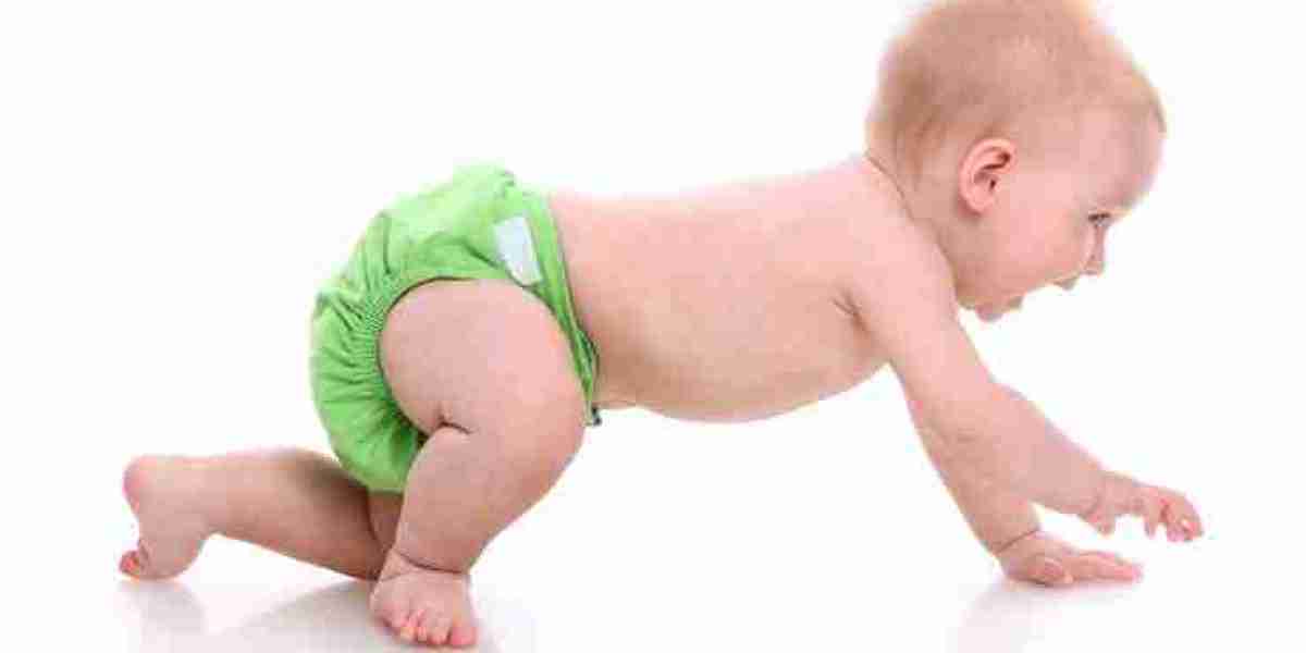 Choosing the Best Cloth Nappies: A Comprehensive Guide