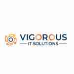 Vigorous IT Solutions Profile Picture