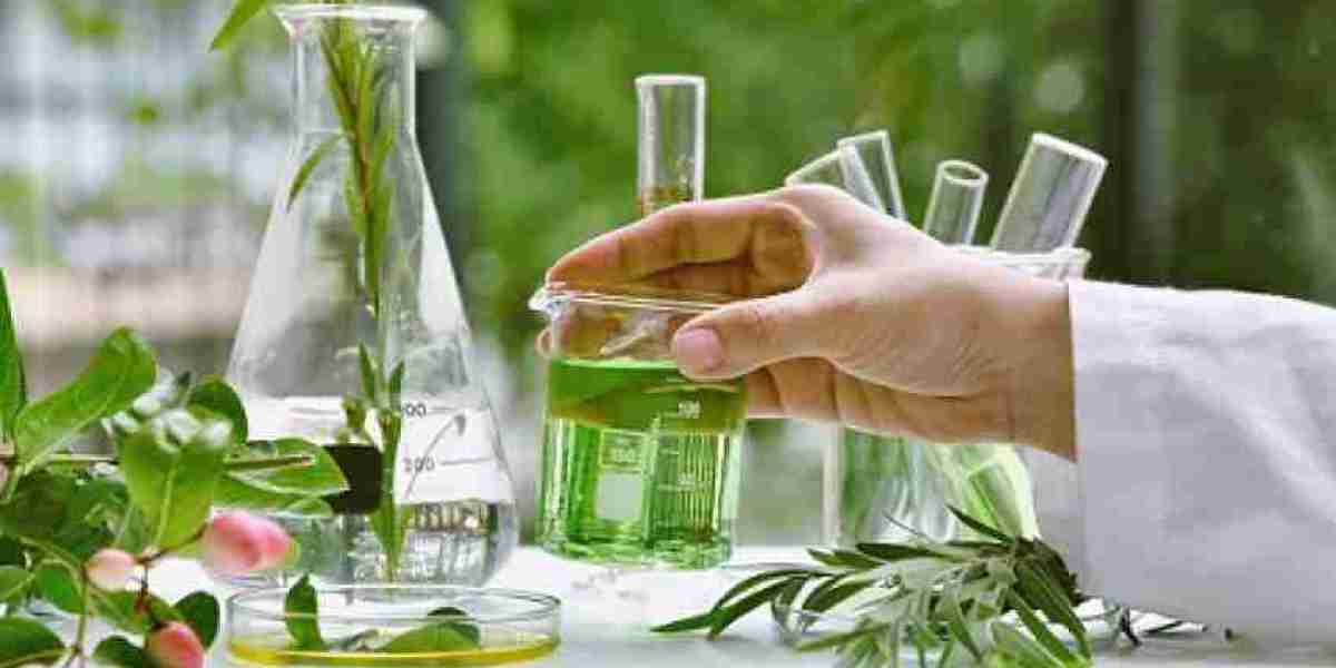 Bio-based Platform Chemicals Market Report, Size, Growth, Analysis, Outlook and Forecast 2024-2032