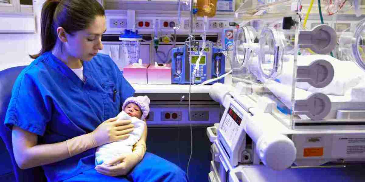 Fetal and Neonatal Care Equipment Market Size, Share, Outlook, Industry Analysis and Forecast 2024-2032