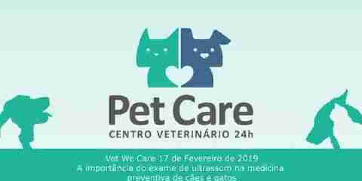 Entenda como o exame veterinário revela o hiperadrenocorticismo em gatos