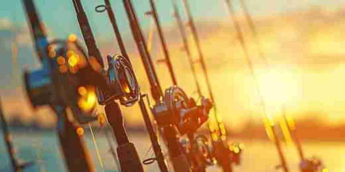 Why You Need Both Fishing Rods and Fishing Rod Stands for Sale for the Ultimate Fishing Experience